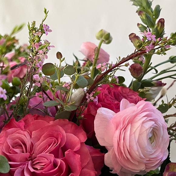 Meet your Posher, Lee - Picture 1 of 1